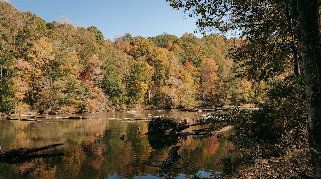 Sweetwater Creek State Park featuring a river or creek and forest scenes