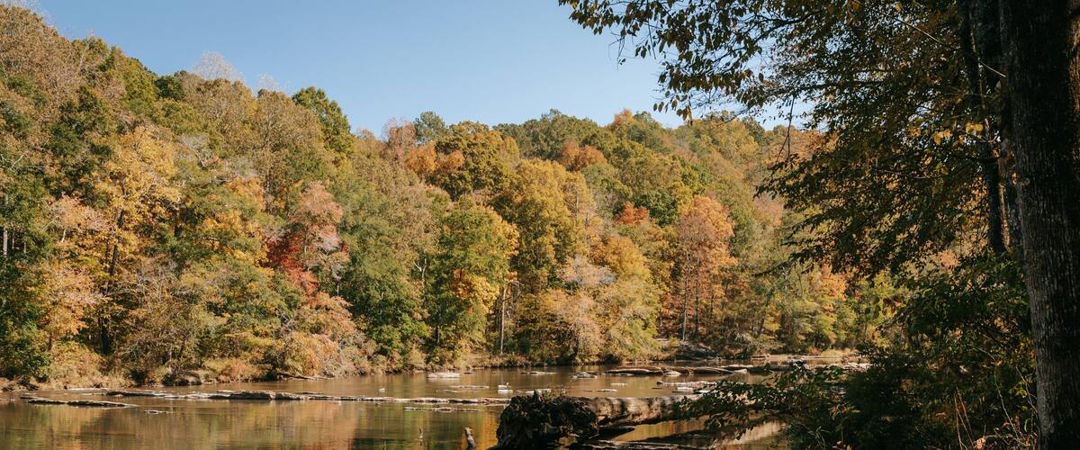 Sweetwater Creek State Park featuring a river or creek and forest scenes