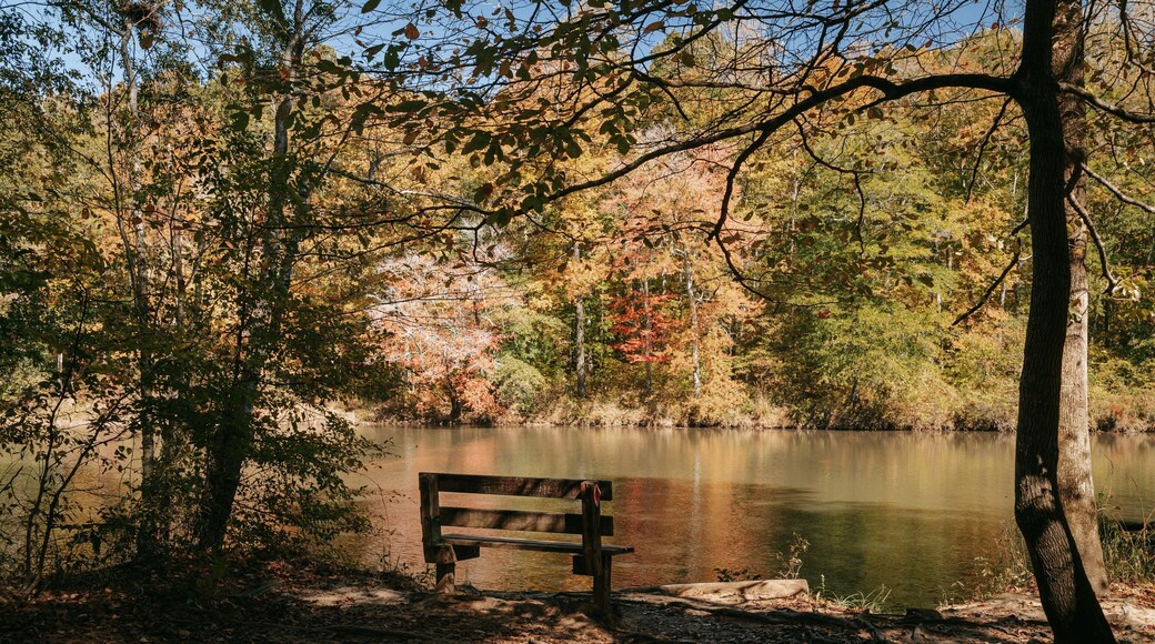 Sweetwater Creek State Park featuring a park and a river or creek
