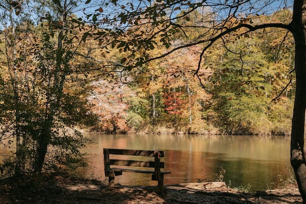 Sweetwater Creek State Park featuring a park and a river or creek