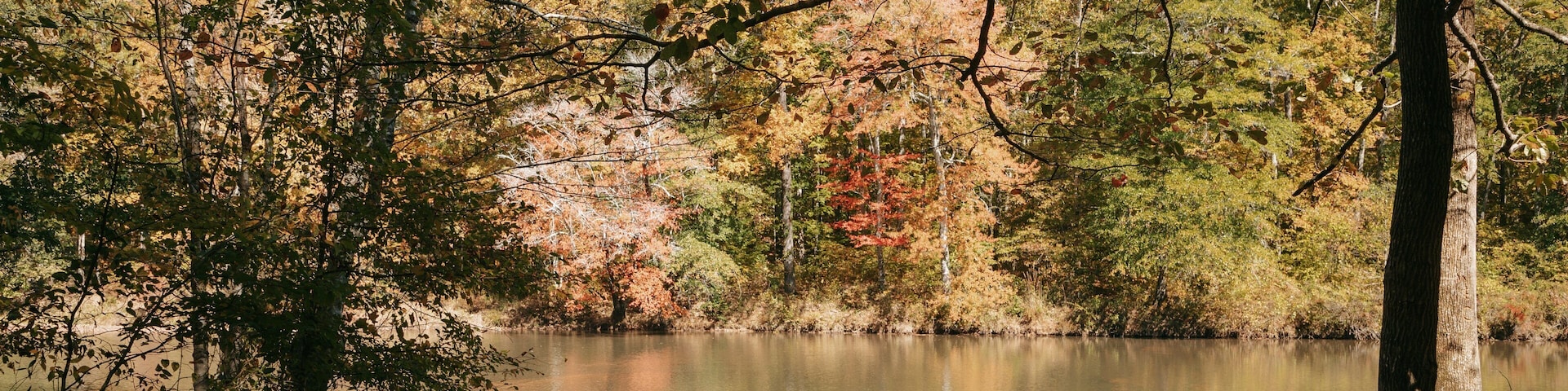 Sweetwater Creek State Park featuring a park and a river or creek