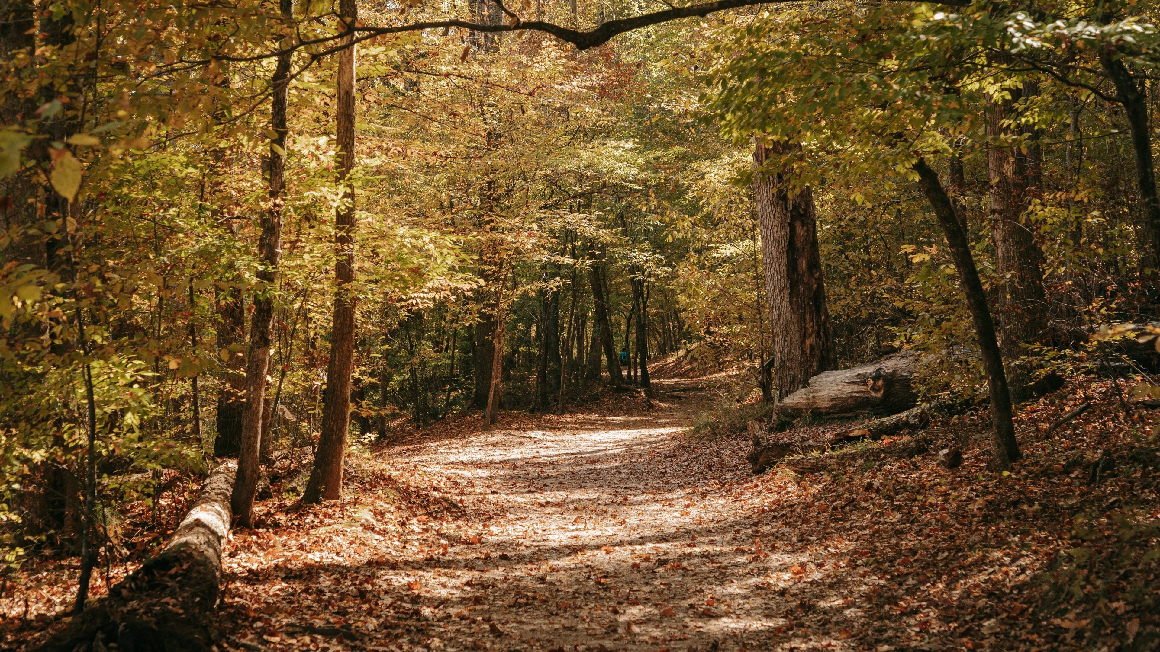 Sweetwater Creek State Park featuring a garden and forest scenes