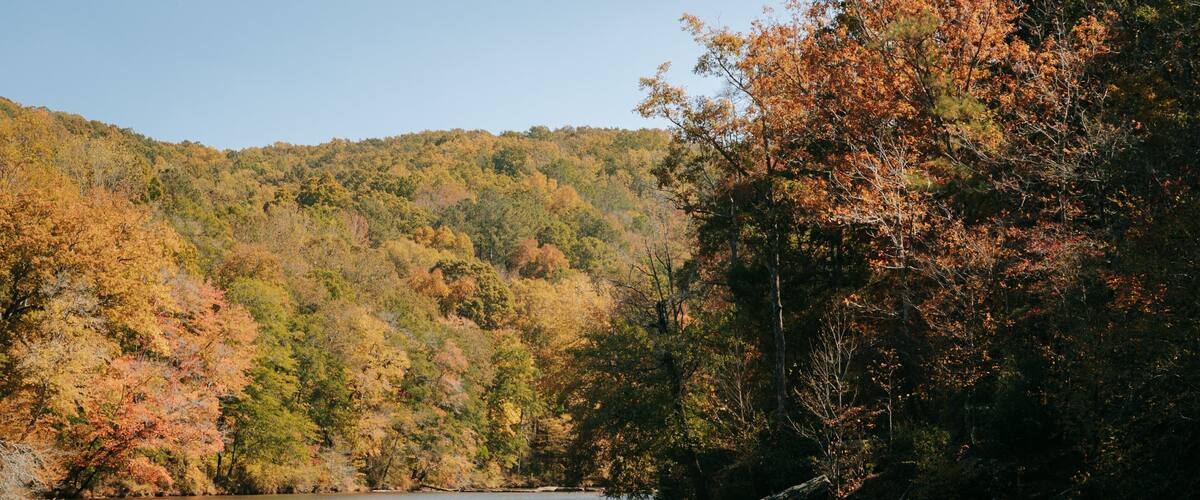 Sweetwater Creek State Park featuring a river or creek and forest scenes