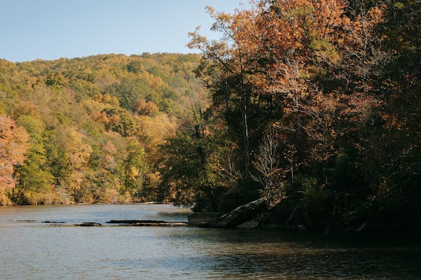 Sweetwater Creek State Park featuring a river or creek and forest scenes