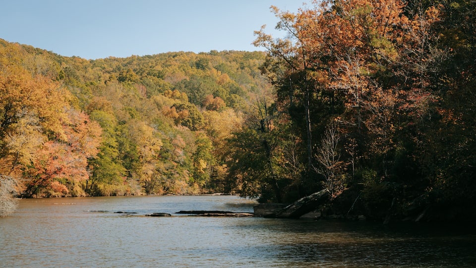 A river surrounded by autumn-colored trees and a forested hillside.