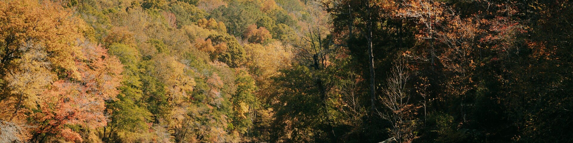 Sweetwater Creek State Park featuring a river or creek and forest scenes