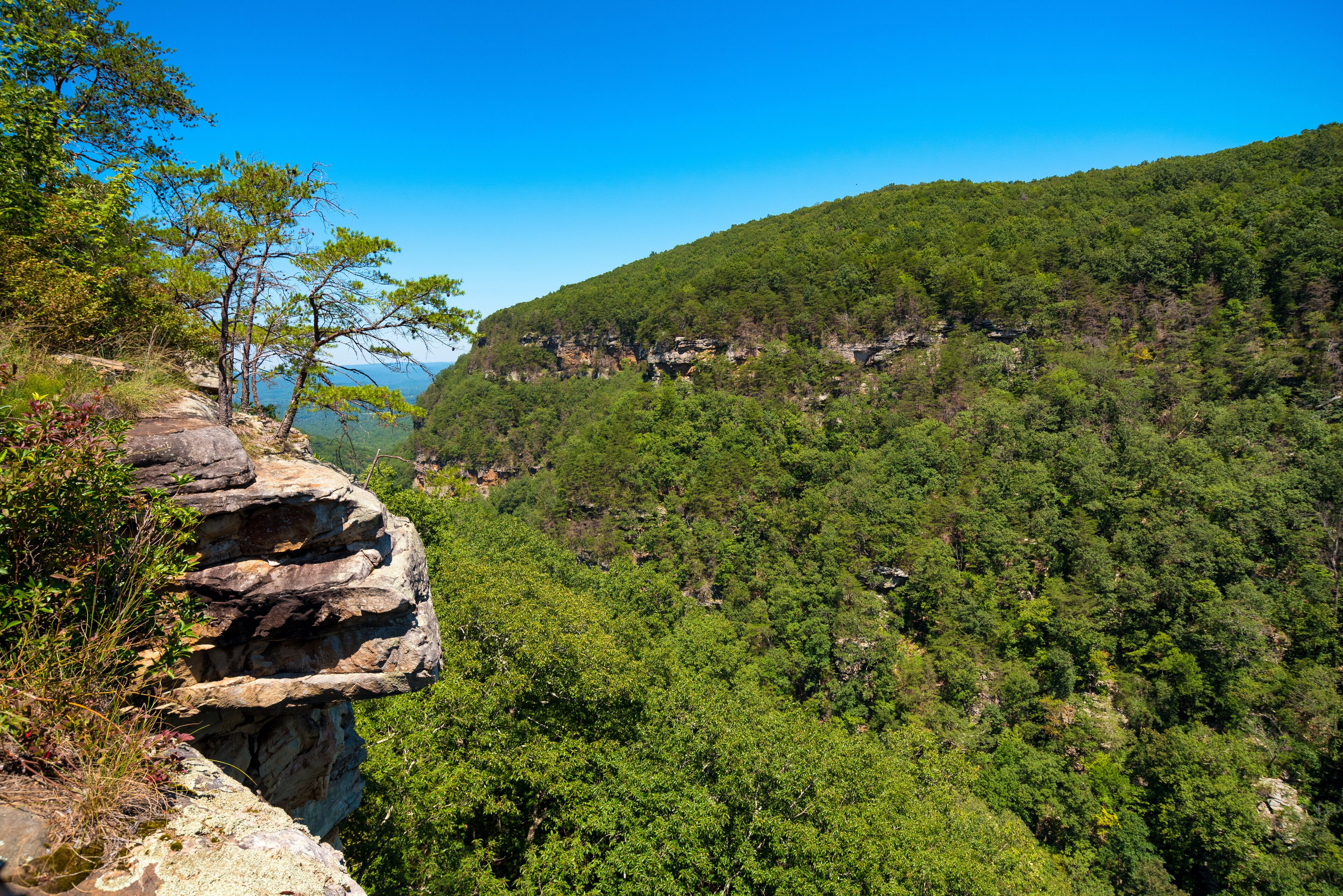 Cloudland Canyon Statspark