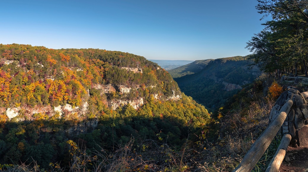 Cloudland Canyon delstatspark