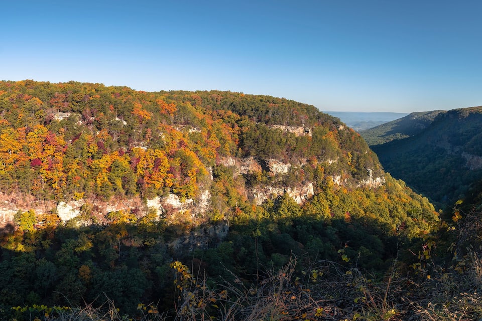 A forested mountain with autumn foliage, a rocky cliff, and a wooden fence.