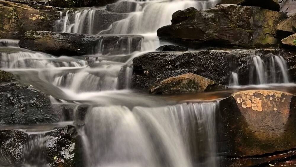 A cascading waterfall over dark rocks in a forested area.