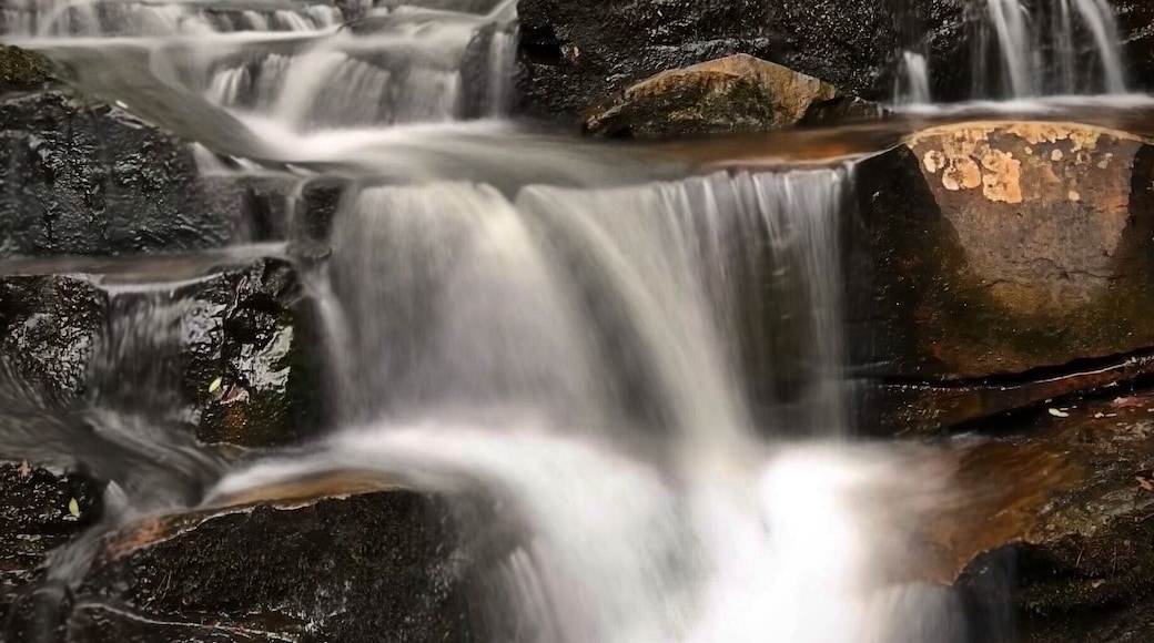Nice little cascading waterfall near Fort Mountain Lake.