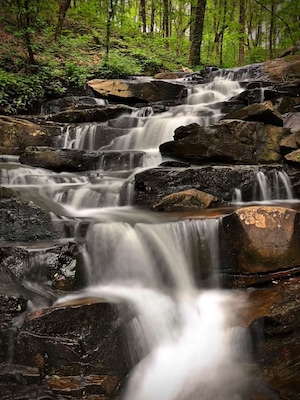 A cascading waterfall over dark rocks in a forested area.