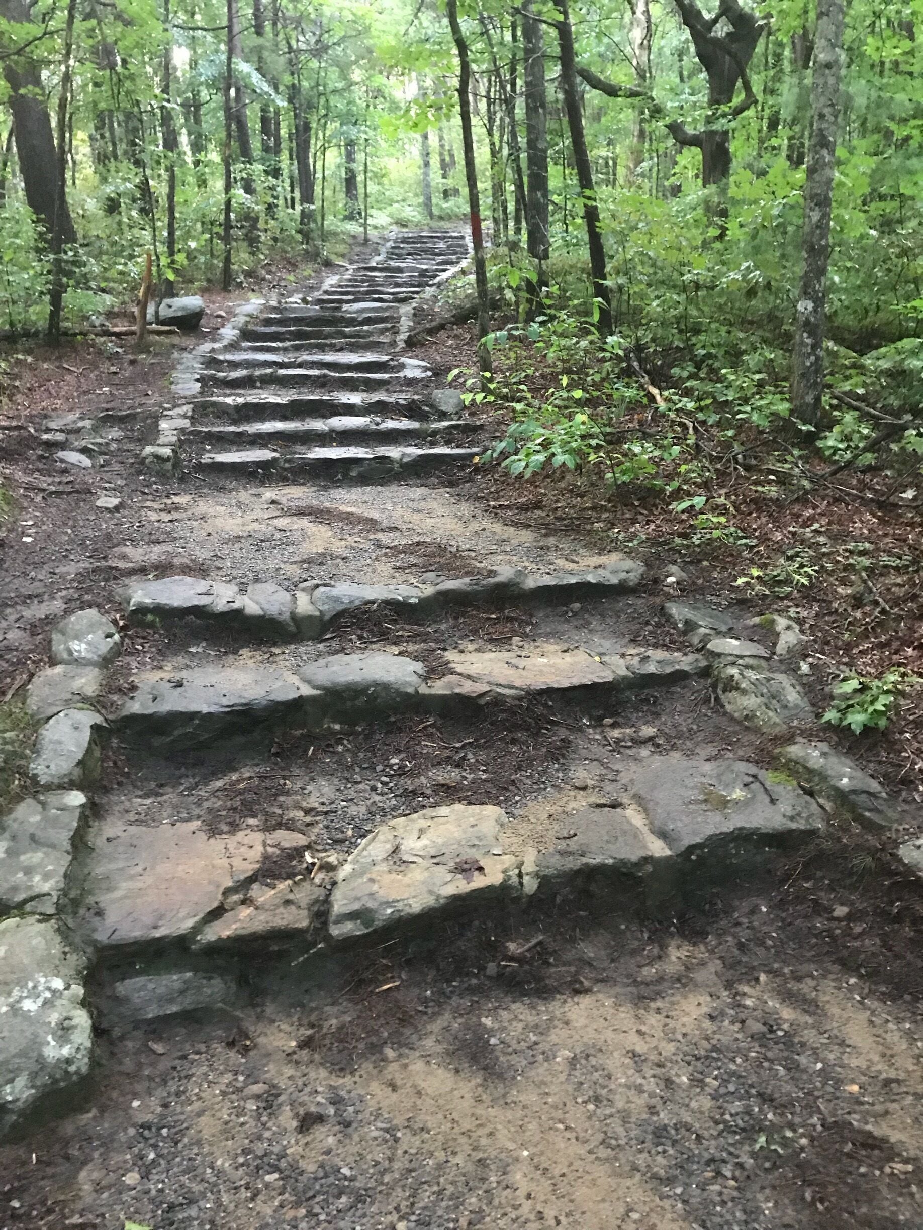 The stone staircase to the overlook at Fort Mountain State Park.  This set of stairs climbs to a large mysterious old stone tower. The loop trail is about a mile and the overlook is beautiful as well.