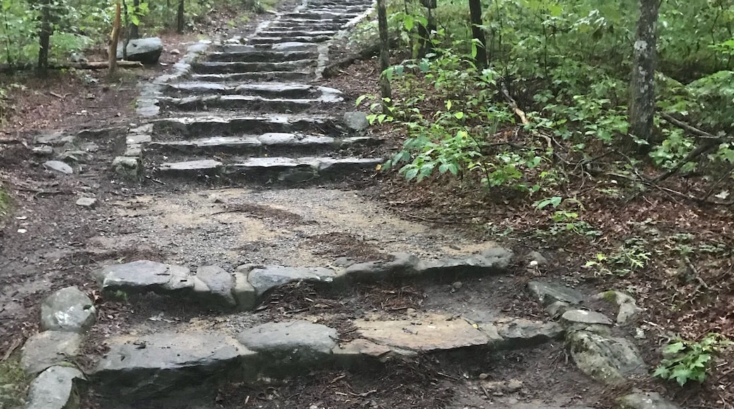 The stone staircase to the overlook at Fort Mountain State Park. This set of stairs climbs to a large mysterious old stone tower. The loop trail is about a mile and the overlook is beautiful as well.