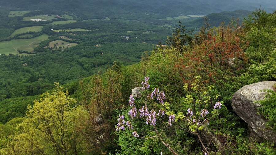 Nice overlook on Fort Mountain Spring is in full season.