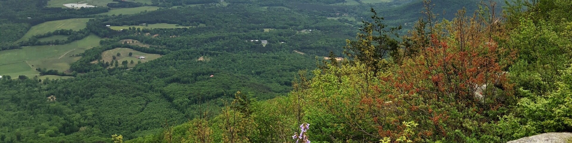 Nice overlook on Fort Mountain Spring is in full season.