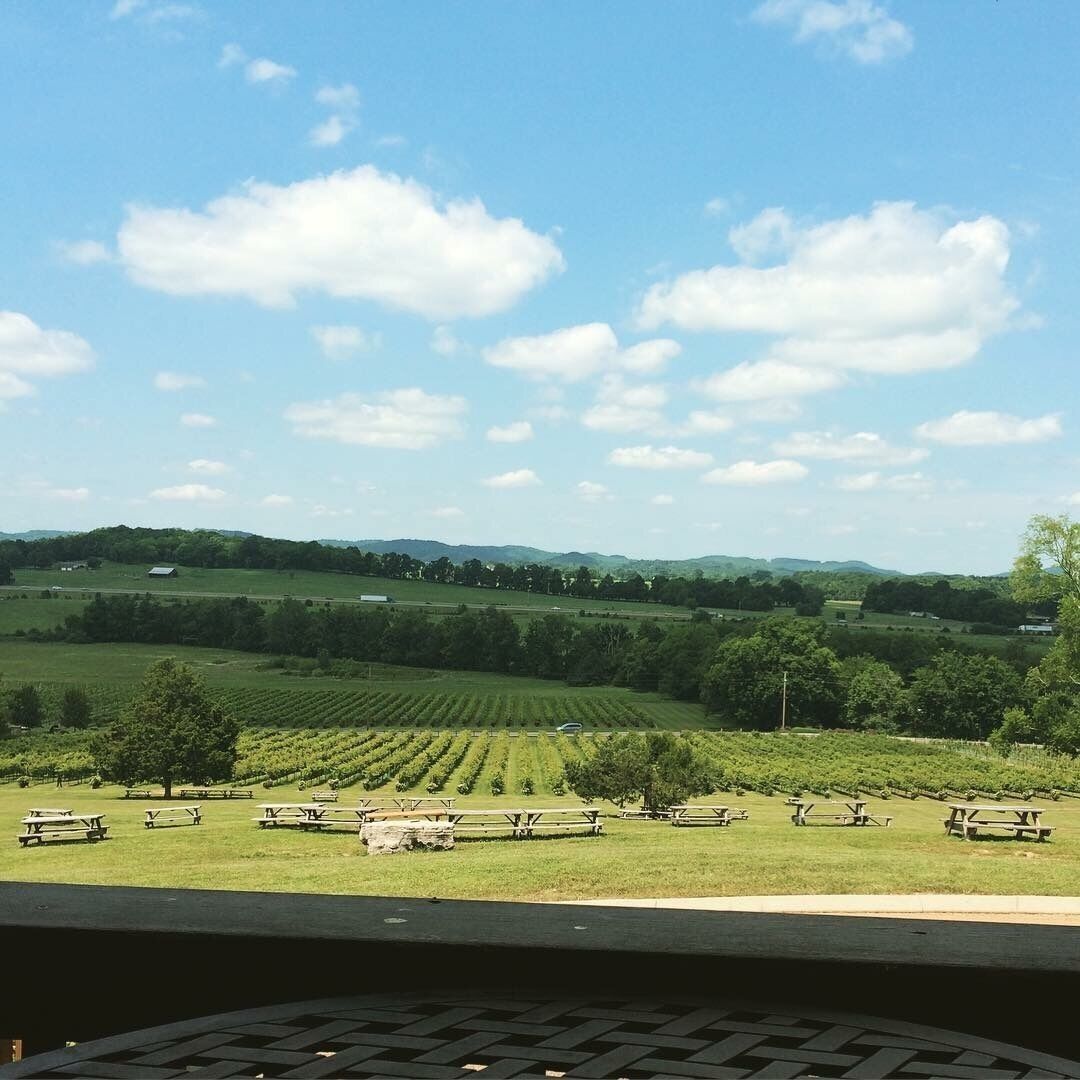Sip wine at Kix Brooks’s Arrington Vineyards, just outside of Nashville. KB612 was my favorite, but everything from our tasting was quite good. 

#rollinghills
#vineyards
