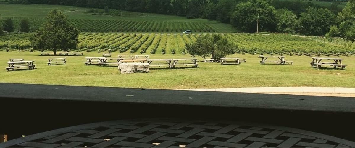 Sip wine at Kix Brooks’s Arrington Vineyards, just outside of Nashville. KB612 was my favorite, but everything from our tasting was quite good. 
#rollinghills
#vineyards