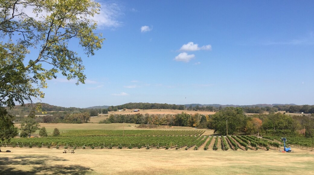 Great wine, walking trails. Fun for a picnic!!