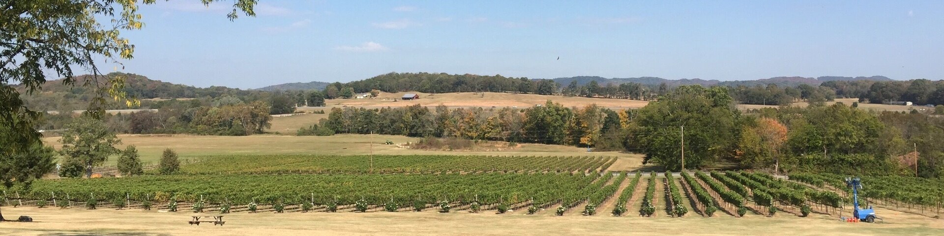 Great wine, walking trails. Fun for a picnic!!