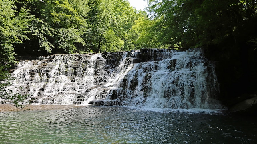 Short Springs Natural Area