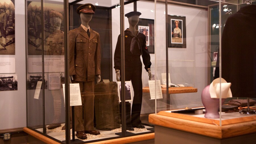 Savannah mostrando vistas de interior