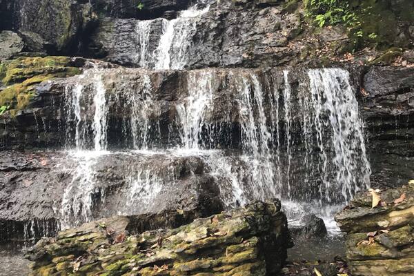 Beautiful 🌿🌱🍃