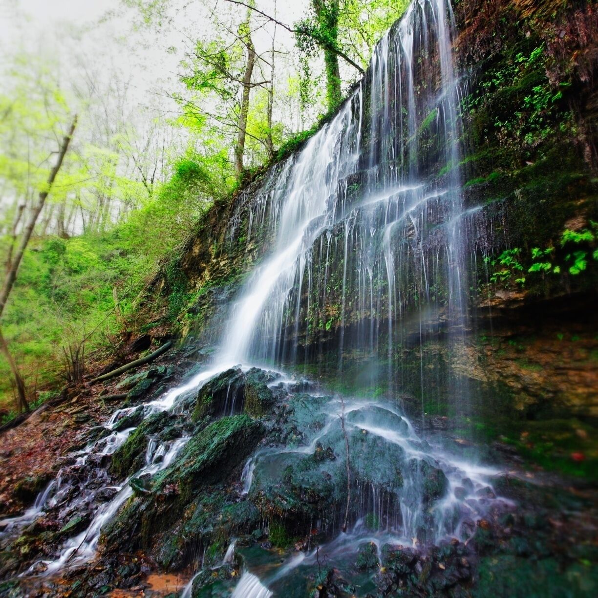 A waterfall cascading over moss-covered rocks in a forested area.