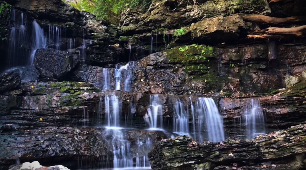 One of many small waterfalls creeping into Rock Island Gorge.