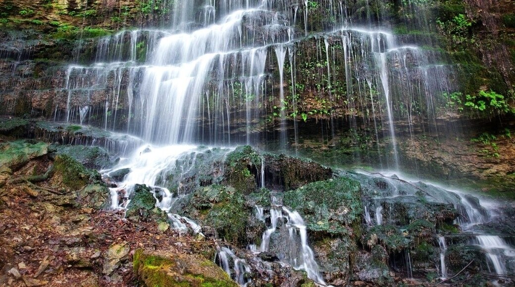 Rock Island State Park has a lot to offer. Camping, trails, and waterfalls. This waterfall is off of the old waterfall trail. It is about a half mile into the trail. The State park has a number of waterfalls this being one of the smaller ones. I don't think it has a name and also think you have to go after some rain to see it like this.