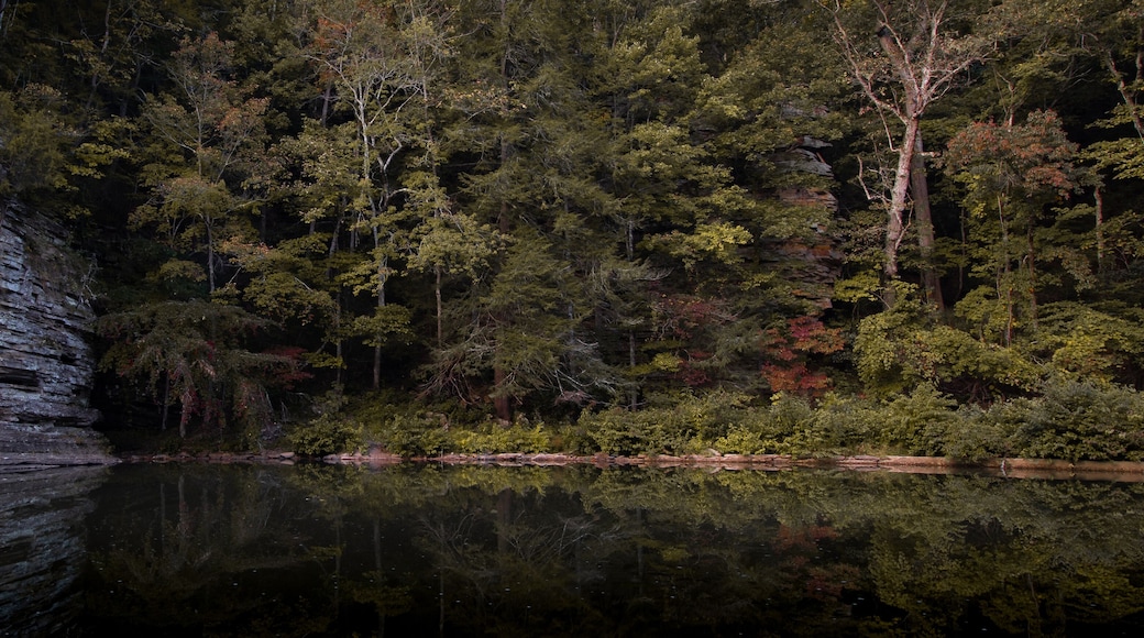 Pond reflection at George's hole in Fall creek falls state park in Tennessee