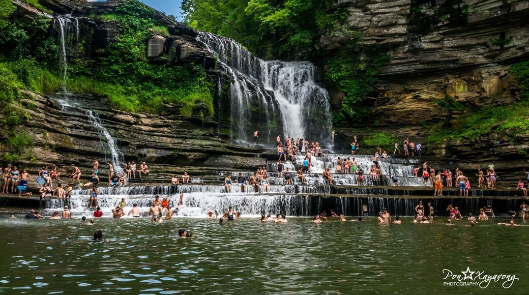 Cummins Falls is formed on the Eastern Highland Rim and has been a favorite scenic spot and swimming hole for residents. #hiking