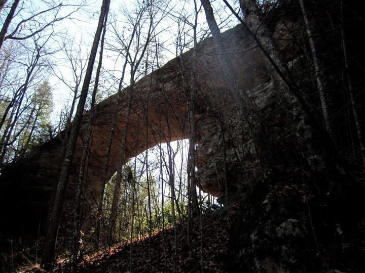 This is the Twin Arches trail.  Really really cool.  There are a couple of these and just really neat rock formations everywhere.  This is a really good bird watching spot too.  Backpacking available too.  Good spots by the river if you keep walking down by the old house.  