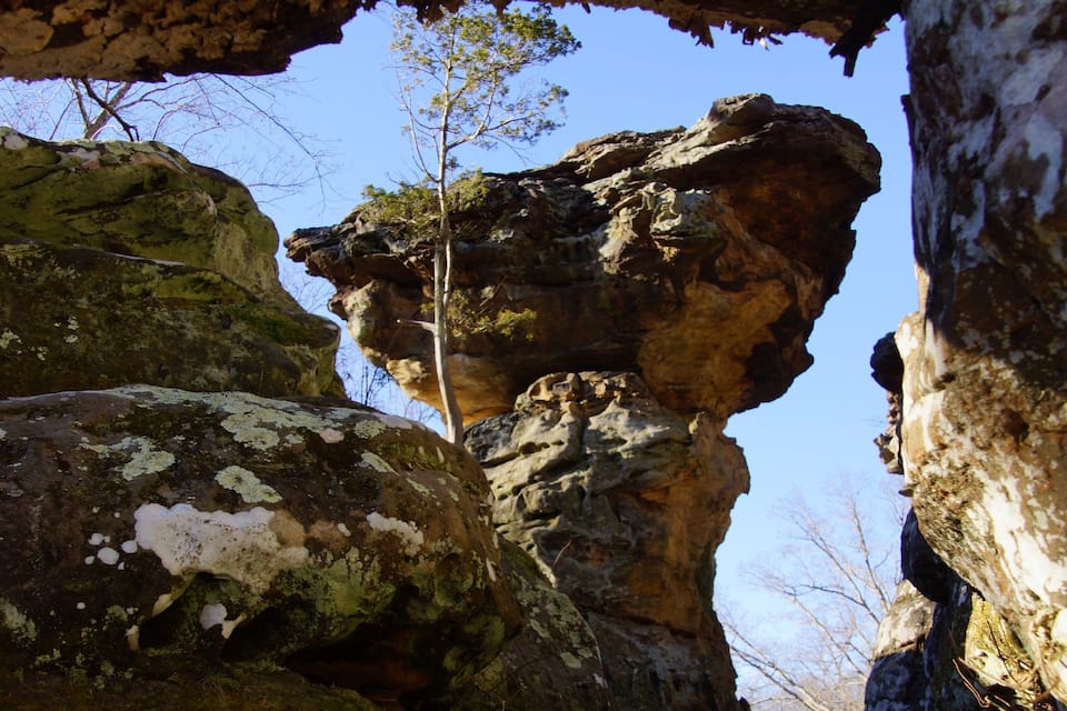 A rock formation with a tree growing in the center.