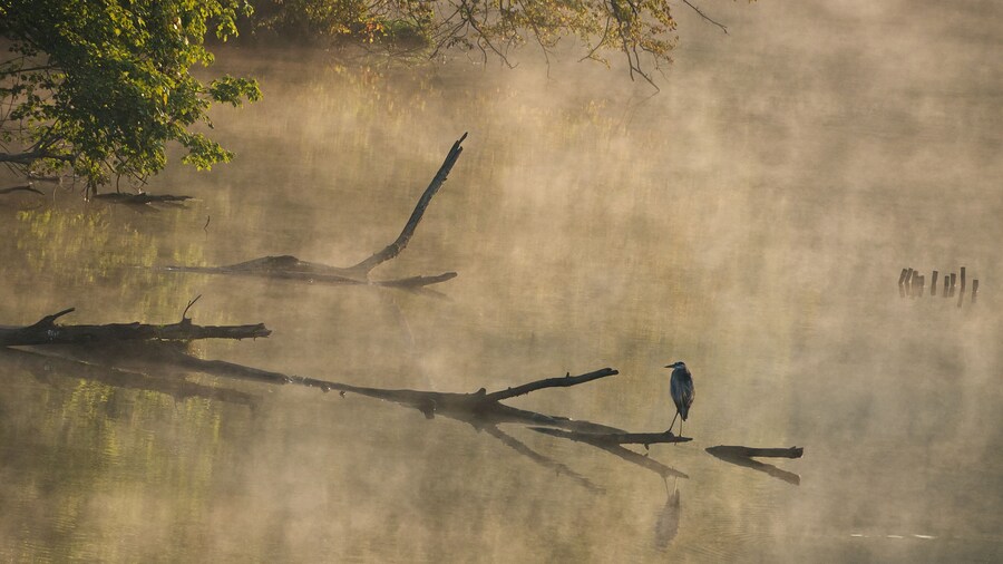 Cumberland RIver Bicentennial Trail
