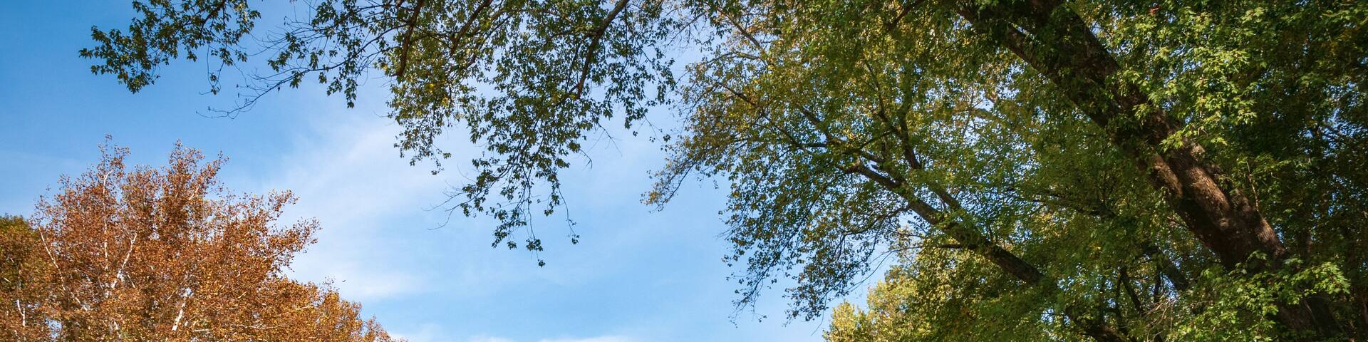 A river surrounded by autumn-colored trees and a clear blue sky.