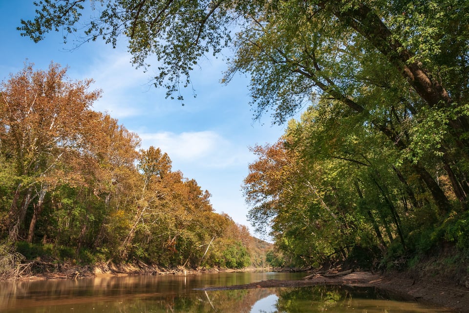 A river surrounded by autumn-colored trees and a clear blue sky.