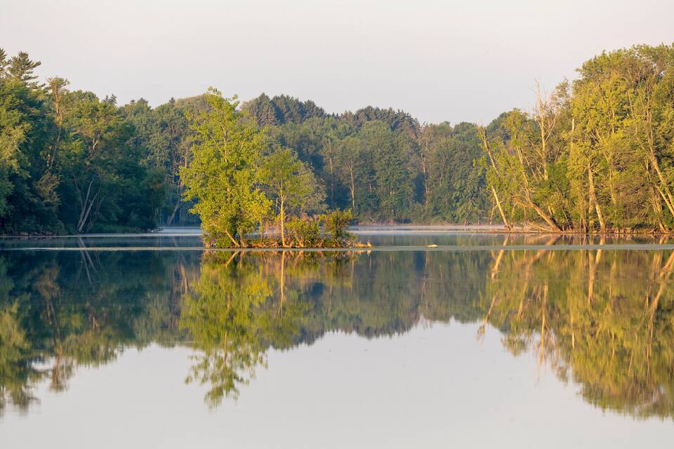 A calm lake with reflections of trees and a small island.