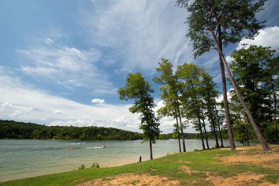 A lake with a boat, trees, and a grassy shoreline.