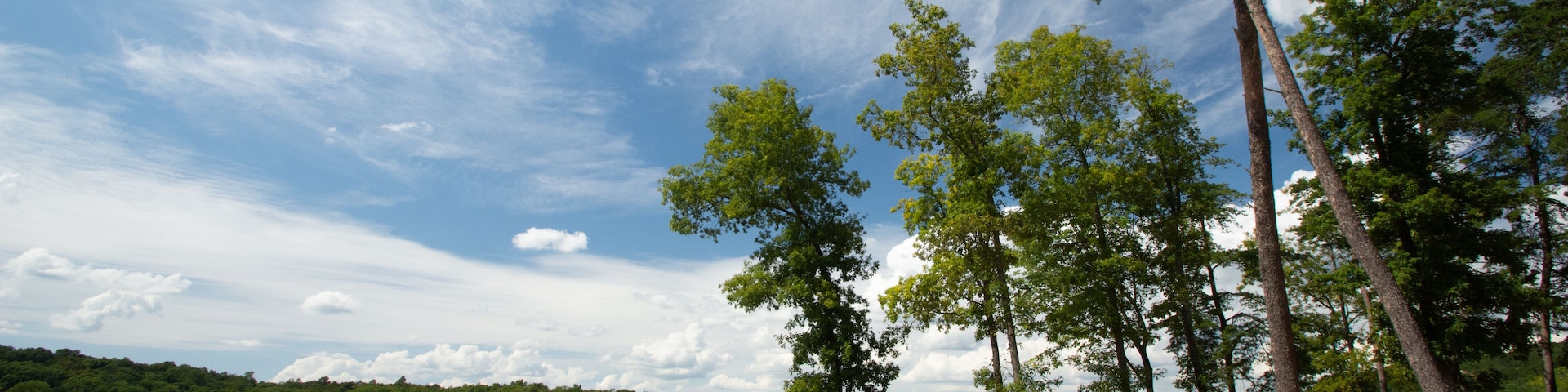 Mammoth Cave, KY / United States - August 31 2019: Nolin Lake State Park campground view