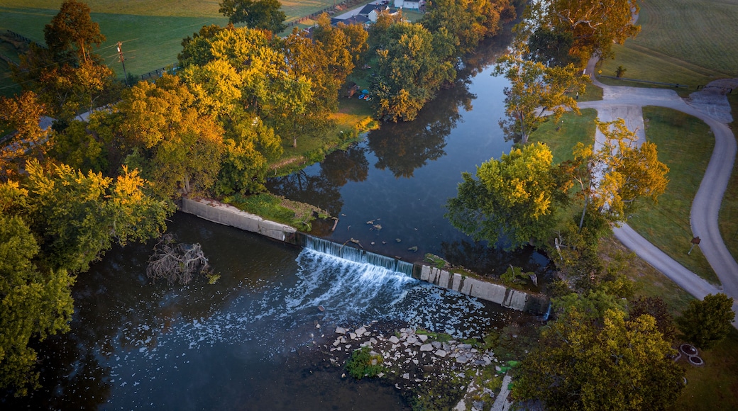 Công viên hồ Freeman