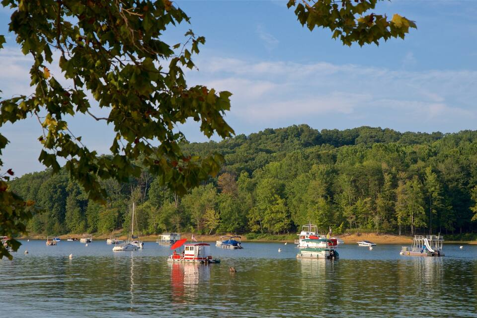 A lake with several boats, surrounded by dense forest and hills.