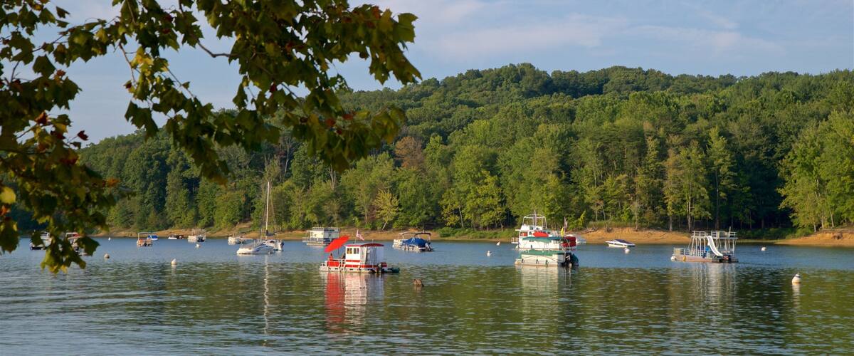 A lake with several boats, surrounded by dense forest and hills.