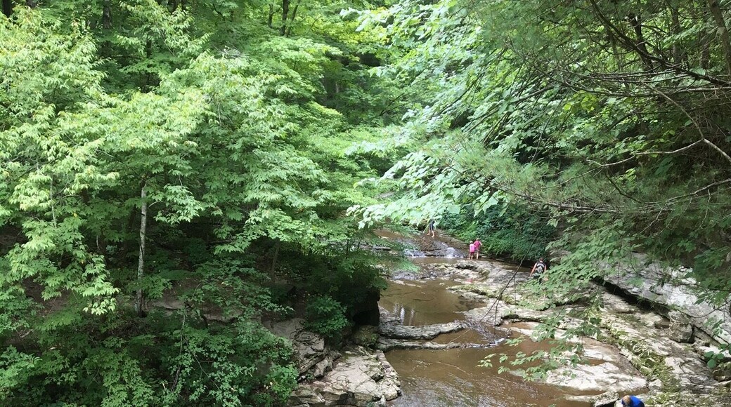 On a recent trip to visit family, I stopped at this park for a quick hike. I used to go here when I was much younger and I have some great memories of exploring these forests. There are a few short trails and beautiful scenery as well as a limestone cave one can crawl through (Wolf Cave). Though California is now my home, I must credit these beautiful Indiana parks for fostering my love of the outdoors. I'll always have a soft spot for limestone creek beds.
#Limestone
#Hiking
#LikeALocal
INStateParks