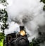 Vintage museum steam train approaching through green forest.