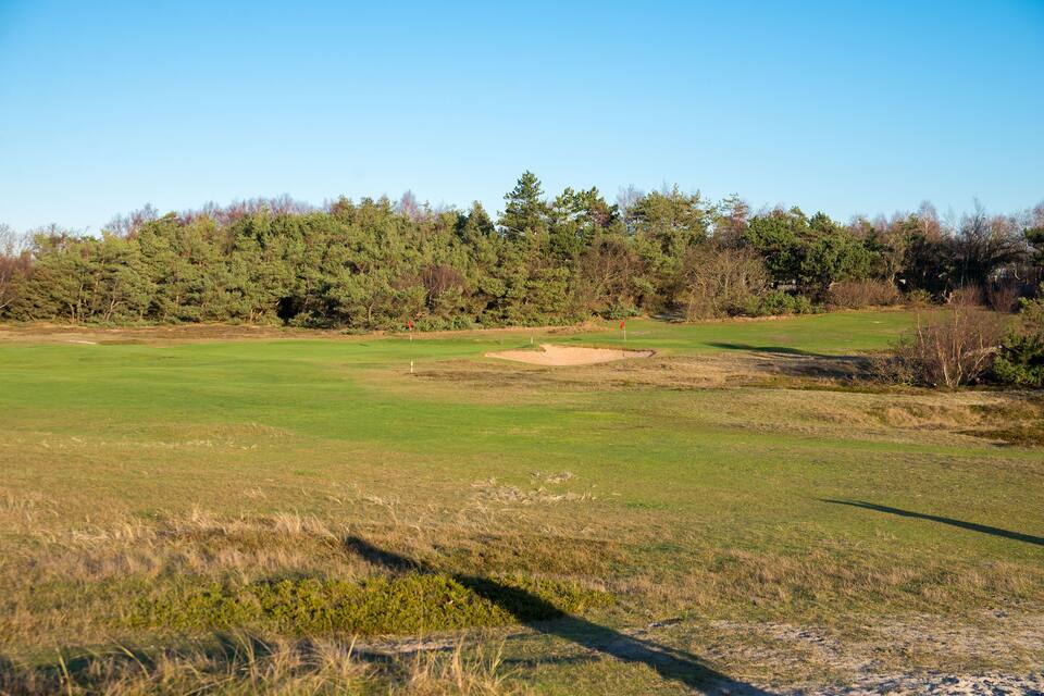 A golf course with a clear sky, green grass, sand bunkers, and a forest in the background.