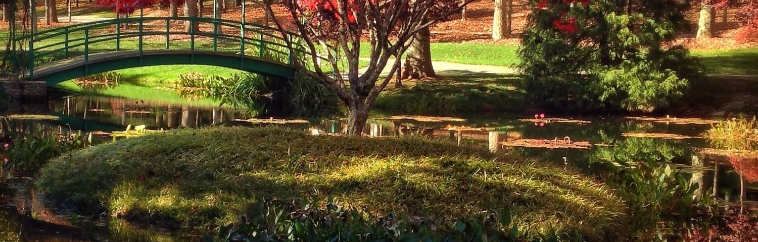 The colors are amazing! #localgem