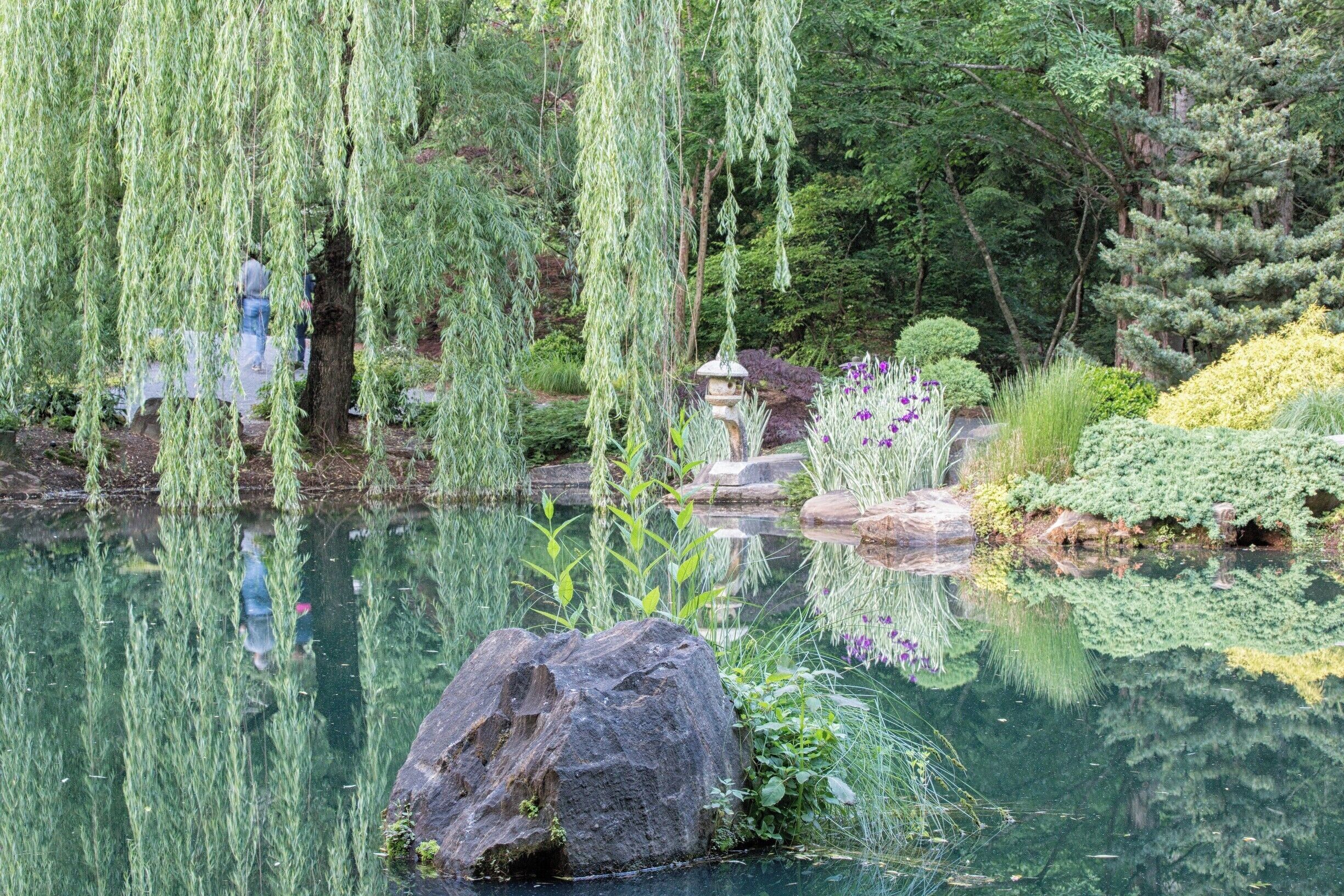 Gibbs has the largest Japanese garden in the eastern US.  This shot was taken in May in the late afternoon.