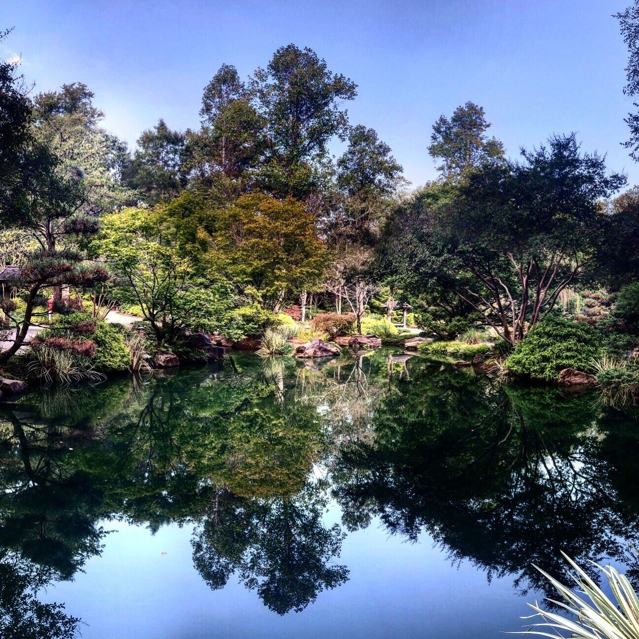 Reflections are extremely easy as long as you have a polarizer on your lens ( Olympus OMD 1mkii 12-40 F2.8 Pro @ 12, 1/125, iso 100, handheld.