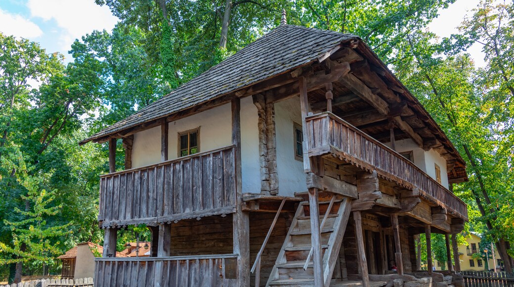 Museo del pueblo del patrimonio